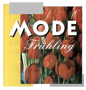 Fa. Sasse Deckenabhänger