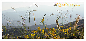 Blick von den Bergen